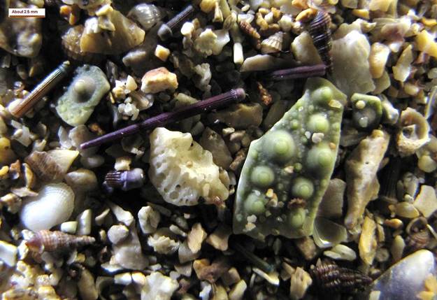 Niolon harbor S France-cropped-reduced size.JPG